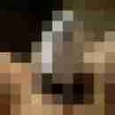 andre_090