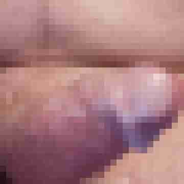 hornyxsar