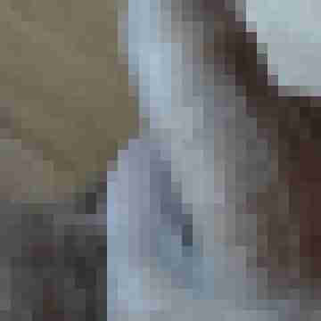 Wolf_bi