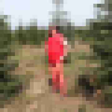 Pulika