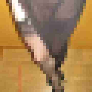 AnaStockings