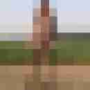 franzie01
