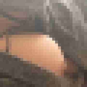 Hotte2