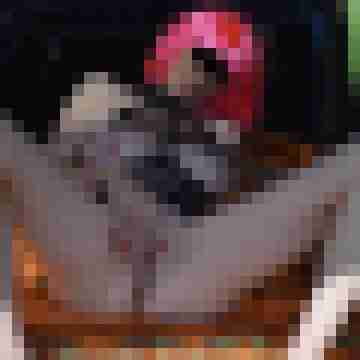 Sowe4244