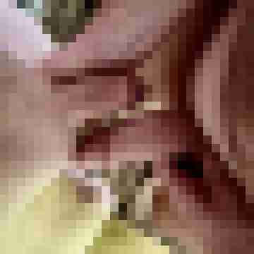 BobCgn12
