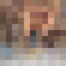 Fickluder1
