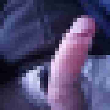 hornyxsar