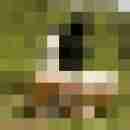 jopen