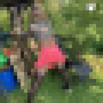 karle24