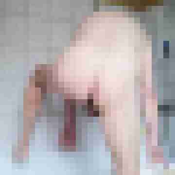 bikerfan666
