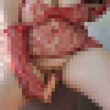Sein_Fick_Stueck