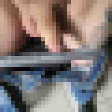 arschstute