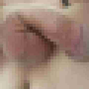 pirmasenser
