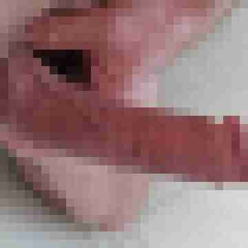 Squirtviewer12