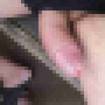 hornyxsar