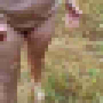 Letsy4u2c