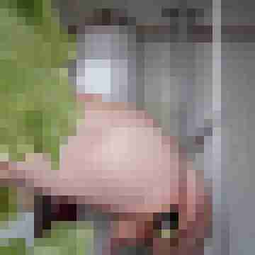 Mittelsachse04