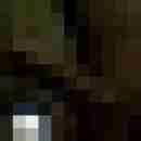 hengst1234