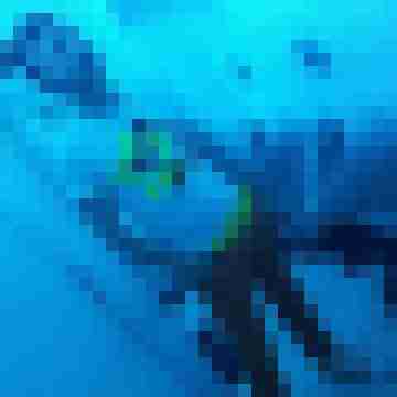 Phaeake36nz