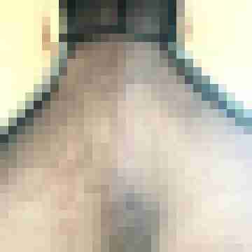 wgpdt