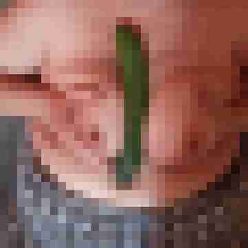 molly_maus