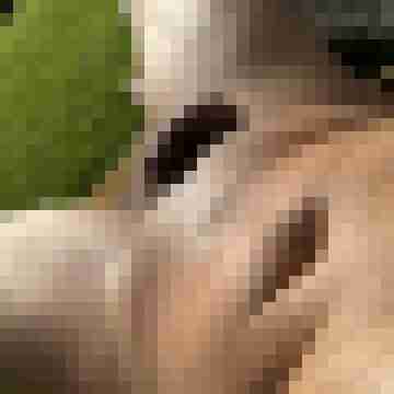 ruttish