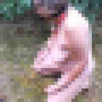 Letsy4u2c