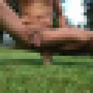 Gepierct21