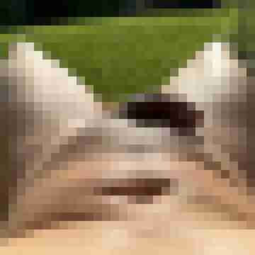 ruttish