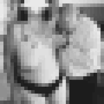 arschstute