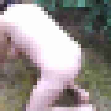 Letsy4u2c