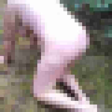 Letsy4u2c