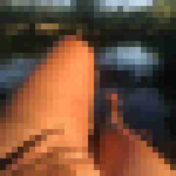 Gute_Fee