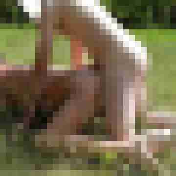 stierodin53