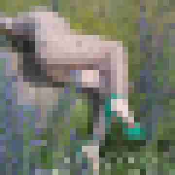 hobbyfotograf7