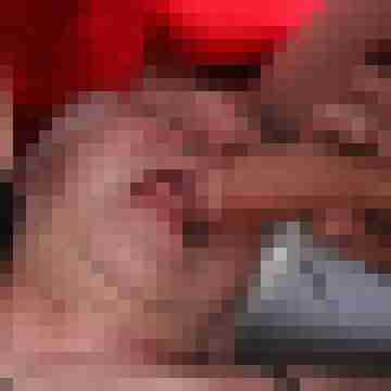brandenburgerbi