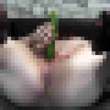 Nylongeiles_Paar