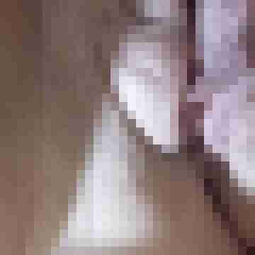 pussyxdick