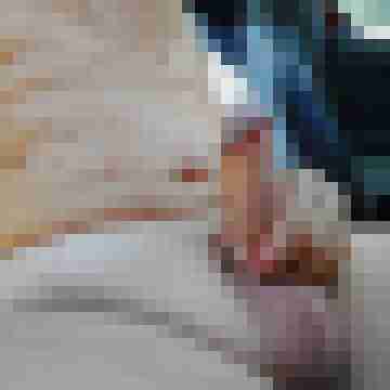 Nacktwanderer56