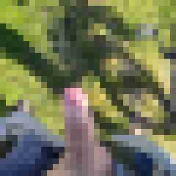 Nacktfrosch-xxl