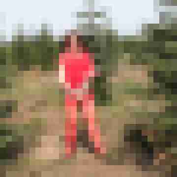 Pulika