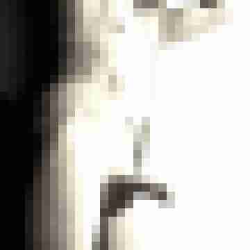lazy_wbs_123