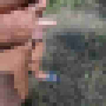 Herzdame83