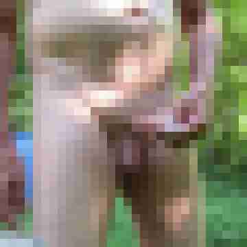 spermaschuss