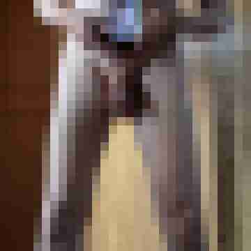 Shyboy72