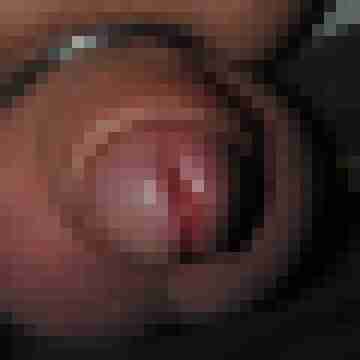 FKKPenis57bi