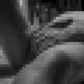 Phorus