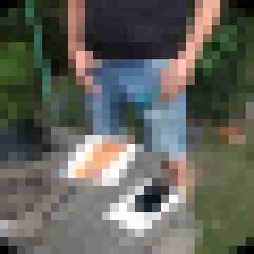 Nacktfrosch-xxl