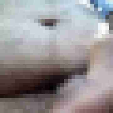 Joseffal