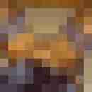 connylive2